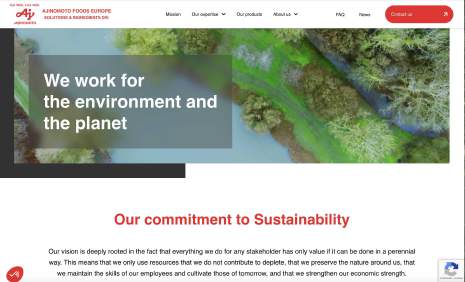 Website Redesign — 1