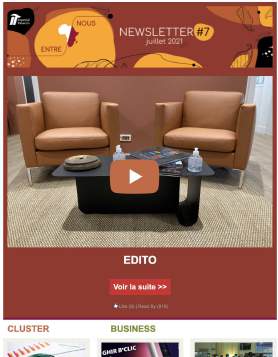 Newsletter Print & Digital — 4